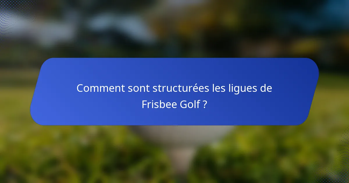Comment sont structurées les ligues de Frisbee Golf ?